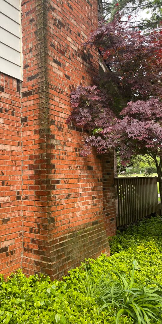 Chimney before power washing